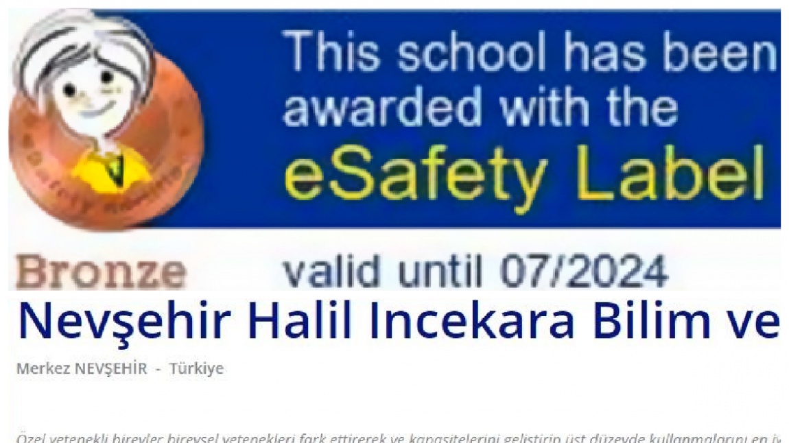 e Safety Label Action Plan